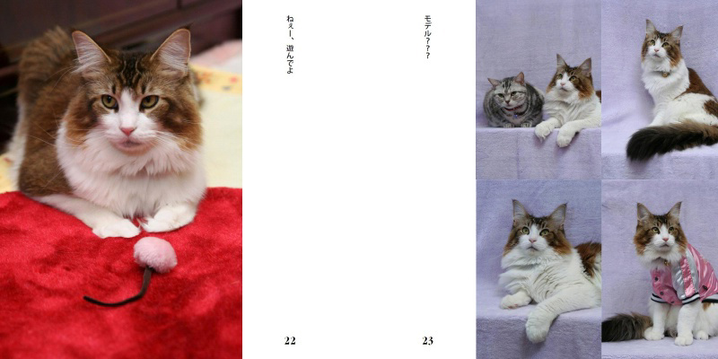 フォトブック 22ページ目