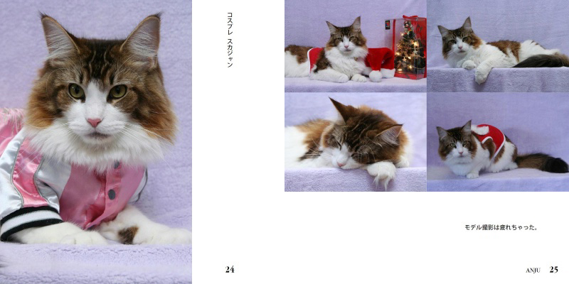 フォトブック 24ページ目
