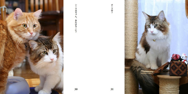 フォトブック 30ページ目