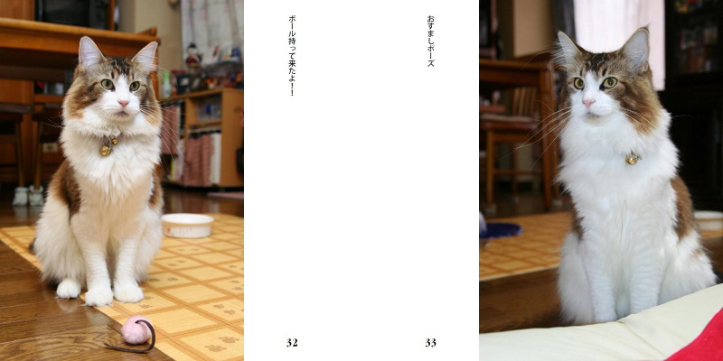 フォトブック 32ページ目