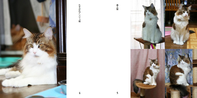 フォトブック 4ページ目