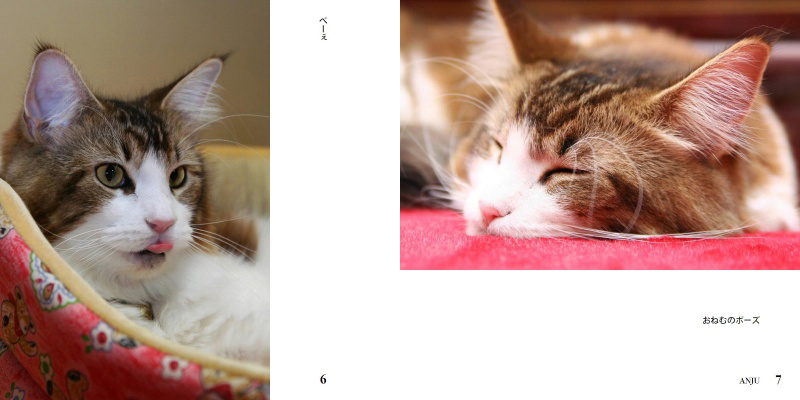 フォトブック 6ページ目