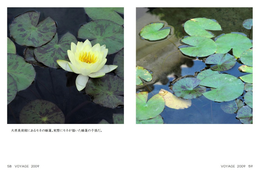 フォトブック 58ページ目