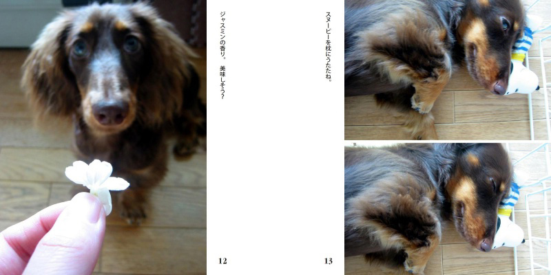 フォトブック 12ページ目