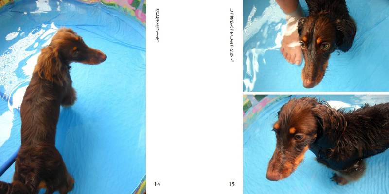 フォトブック 14ページ目