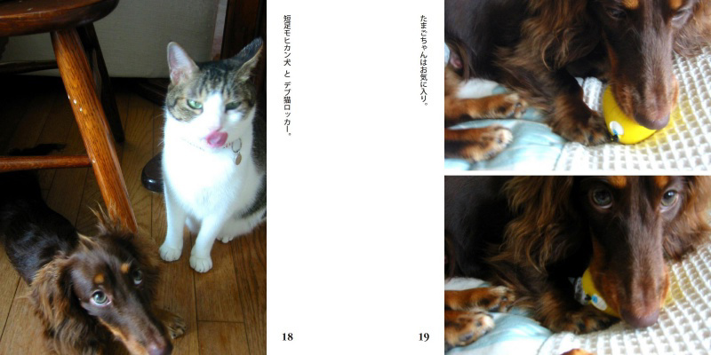 フォトブック 18ページ目