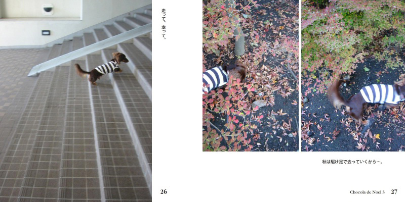 フォトブック 26ページ目