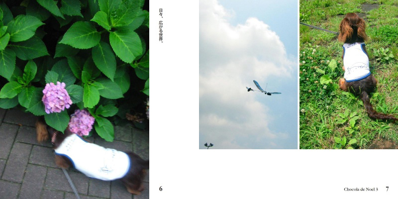 フォトブック 6ページ目