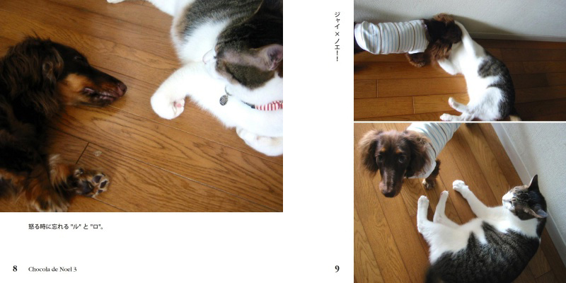 フォトブック 8ページ目