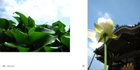 フォトブック 24ページ目