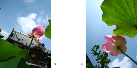 フォトブック 30ページ目