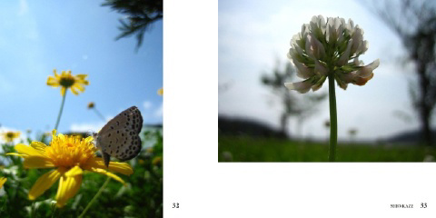 フォトブック 32ページ目