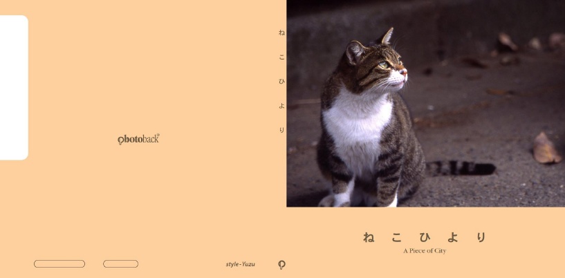 フォトブック ジャケット