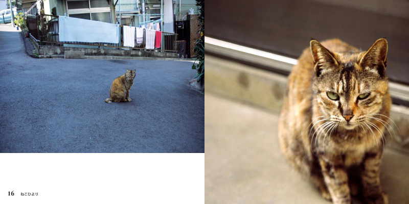 フォトブック 16ページ目
