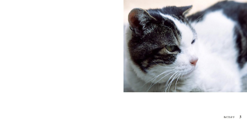 フォトブック 2ページ目