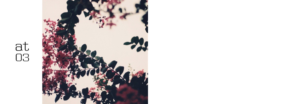 フォトブック 34ページ目