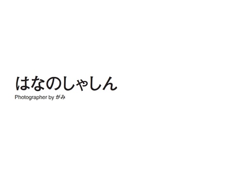 フォトブック 扉