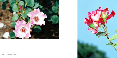 フォトブック 14ページ目