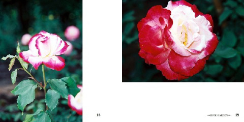 フォトブック 18ページ目