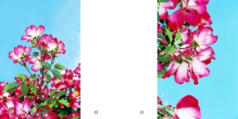 フォトブック 22ページ目