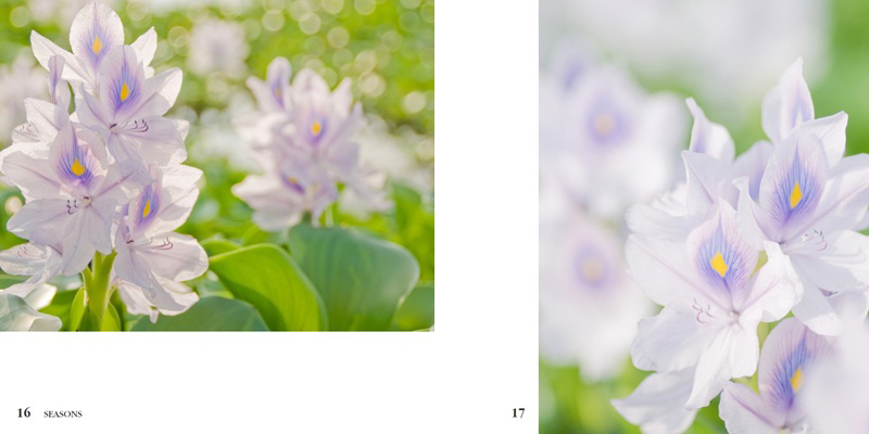 フォトブック 16ページ目