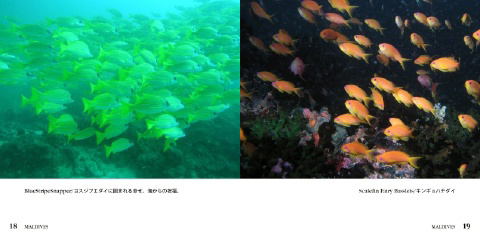 フォトブック 18ページ目