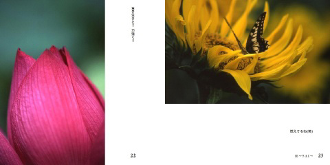 フォトブック 22ページ目