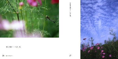 フォトブック 26ページ目