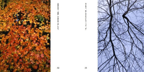 フォトブック 32ページ目