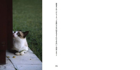フォトブック 34ページ目