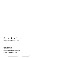 フォトブック ジャケット裏