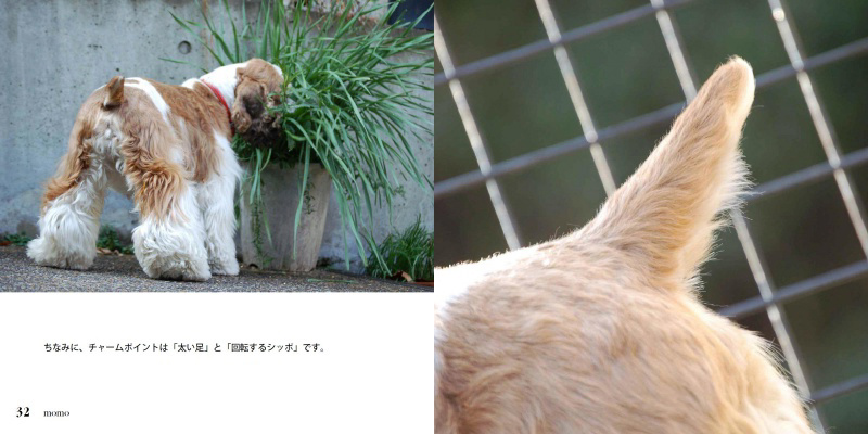 フォトブック 32ページ目