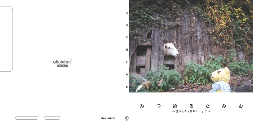 フォトブック ジャケット
