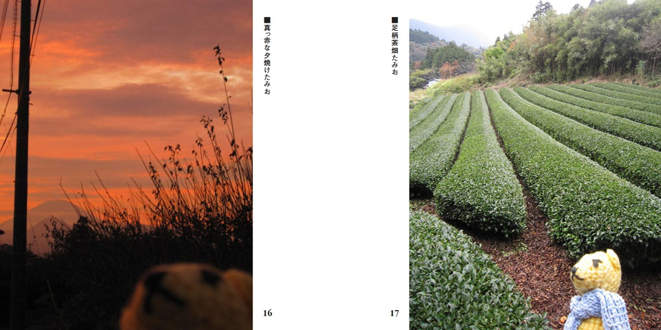 フォトブック 16ページ目