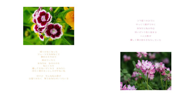 フォトブック 10ページ目