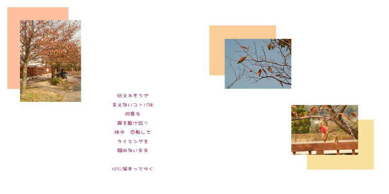 フォトブック 12ページ目