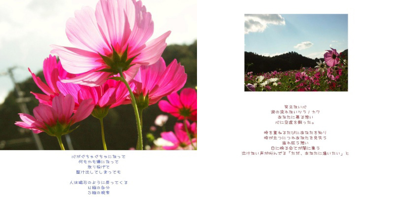 フォトブック 20ページ目