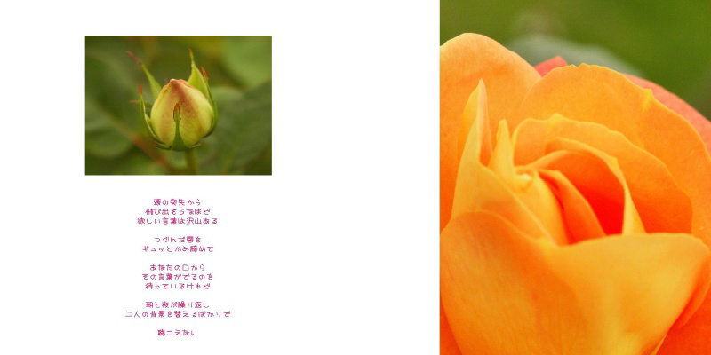 フォトブック 28ページ目