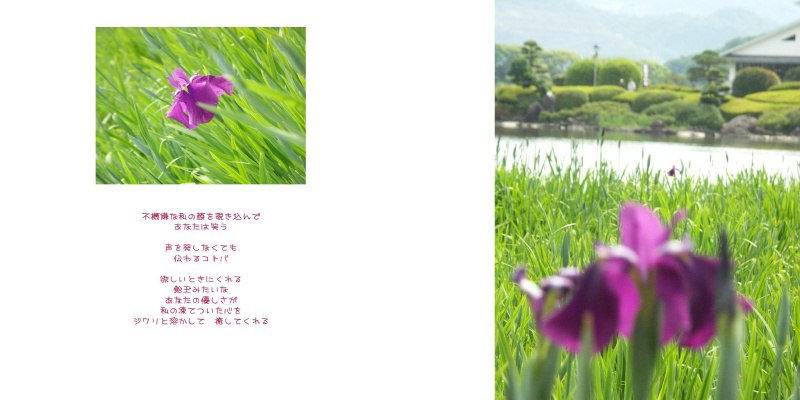 フォトブック 6ページ目