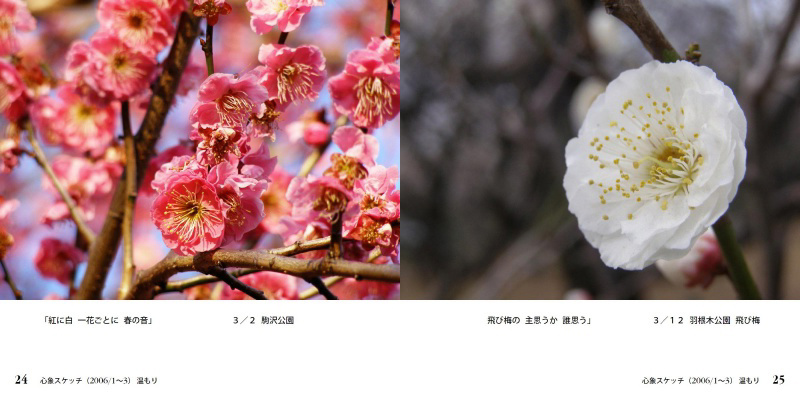 フォトブック 24ページ目
