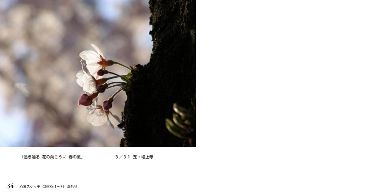 フォトブック 34ページ目
