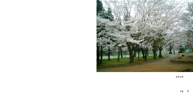 フォトブック 2ページ目
