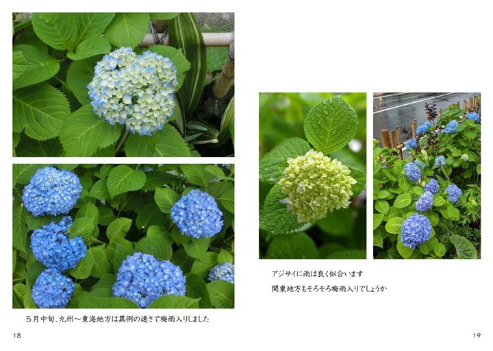 フォトブック 18ページ目