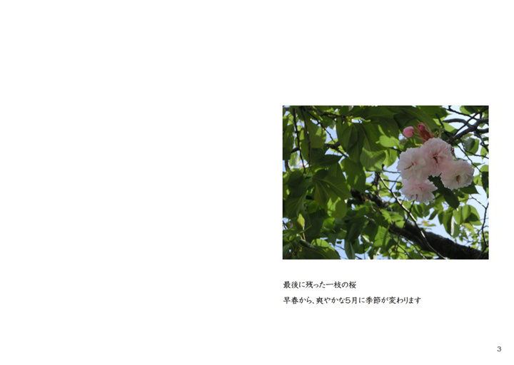 フォトブック 2ページ目