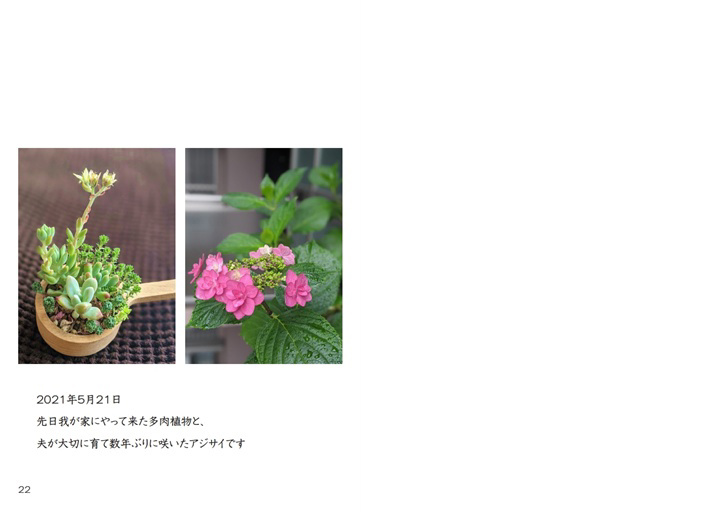 フォトブック 22ページ目