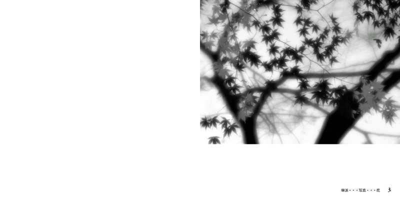 フォトブック 2ページ目
