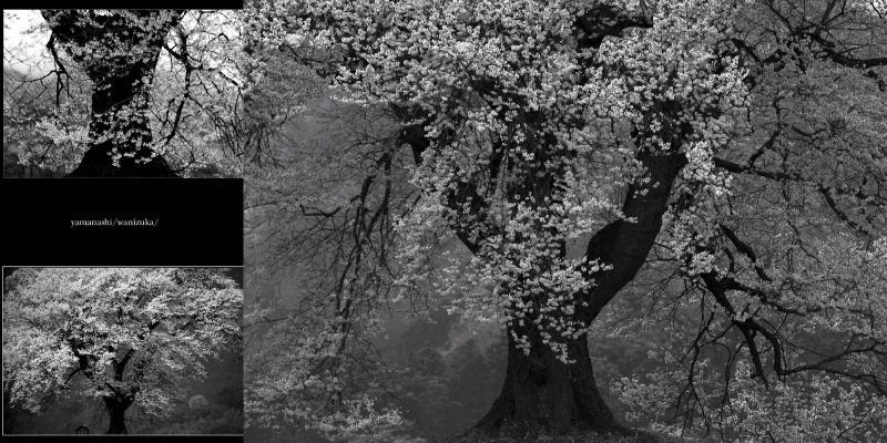フォトブック 26ページ目