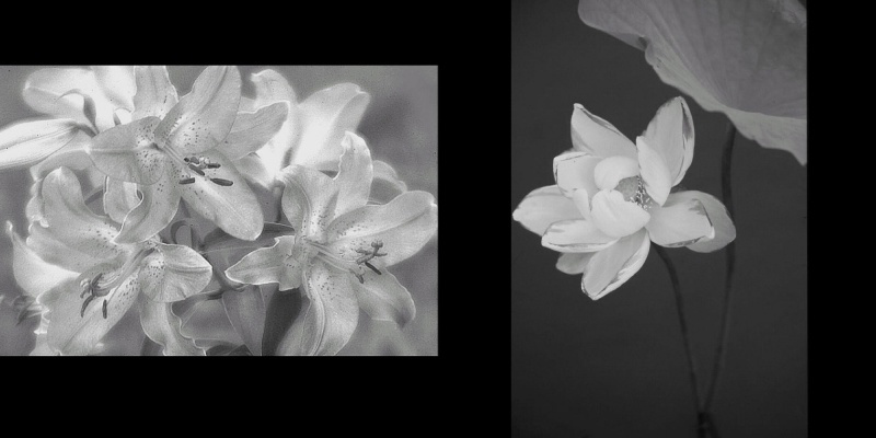 フォトブック 30ページ目