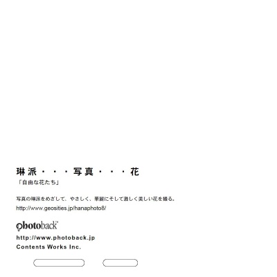 フォトブック ジャケット裏