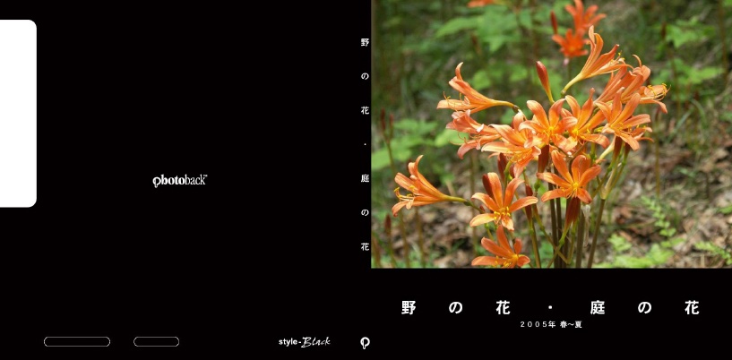 フォトブック ジャケット